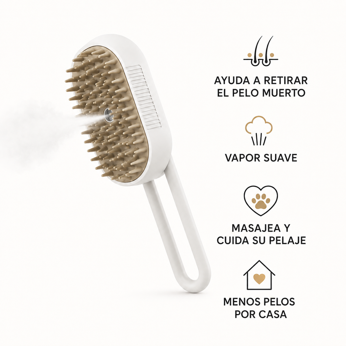 Cepillo Vapor