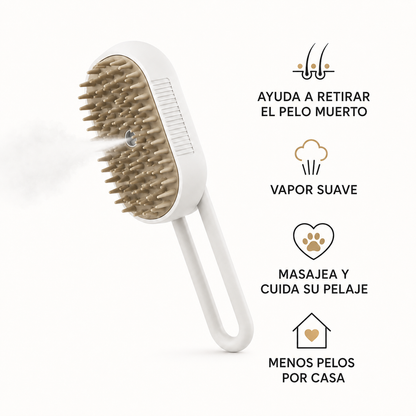 Cepillo Vapor