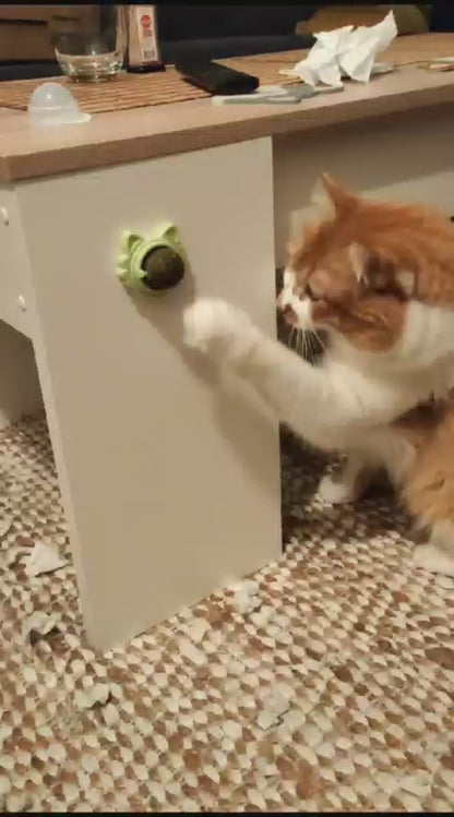 Bola de Catnip